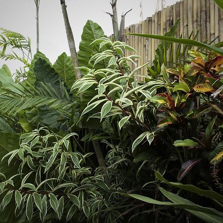 Dugul Ubud Εξωτερικό φωτογραφία