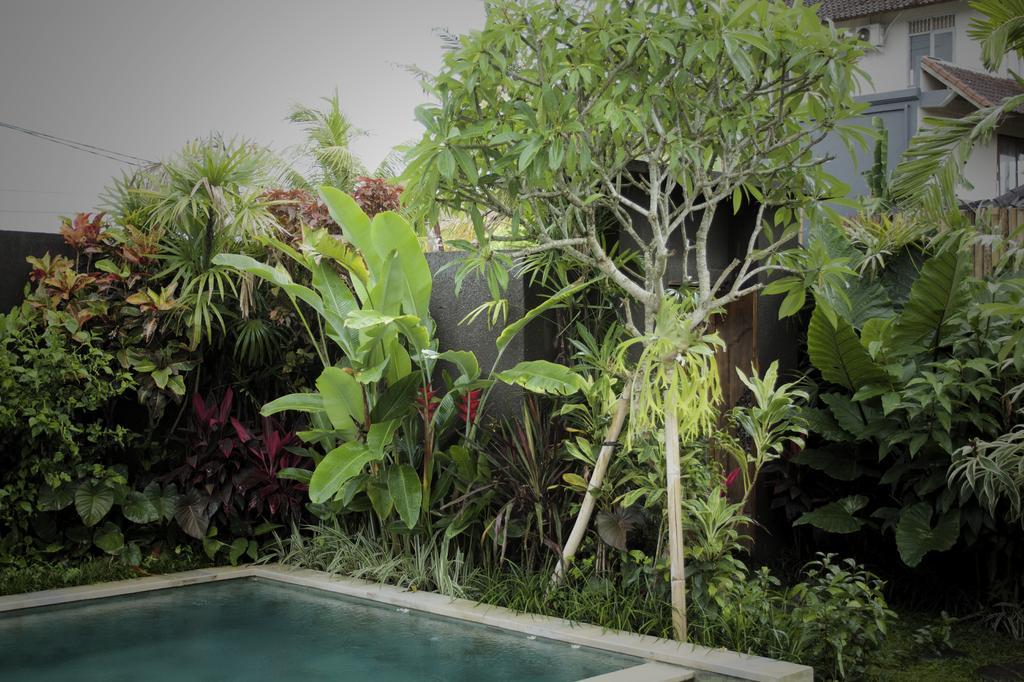 Dugul Ubud Δωμάτιο φωτογραφία